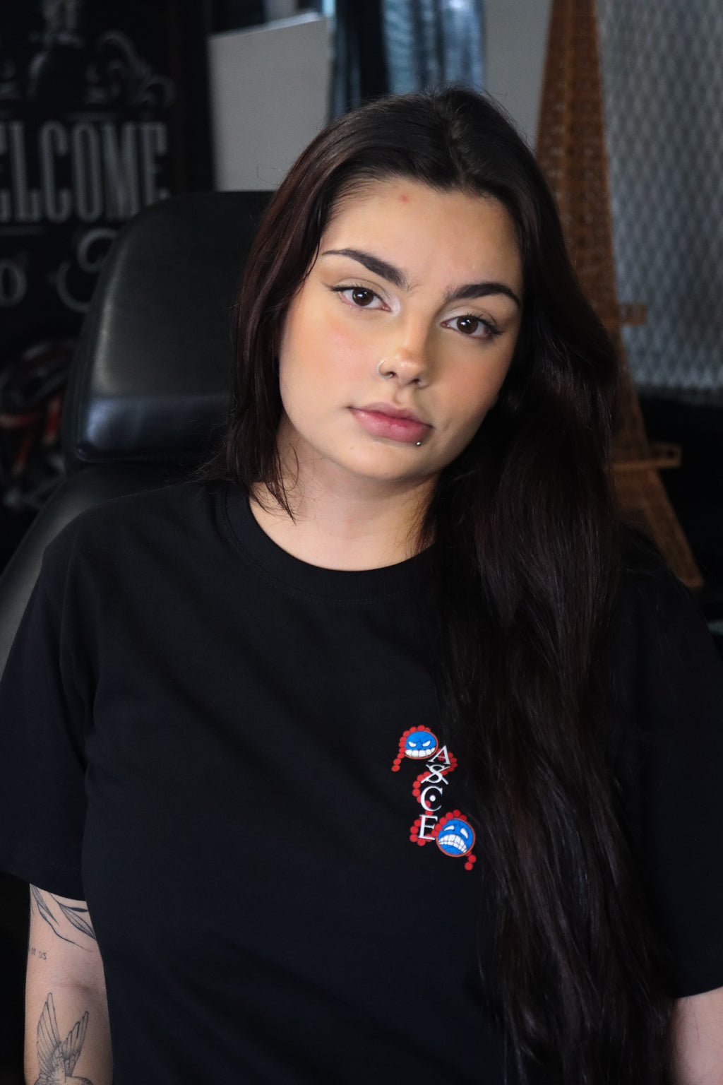 (LIQUIDAÇÃO) Os Chapéus De Palha - Luffy, Zoro e Ace