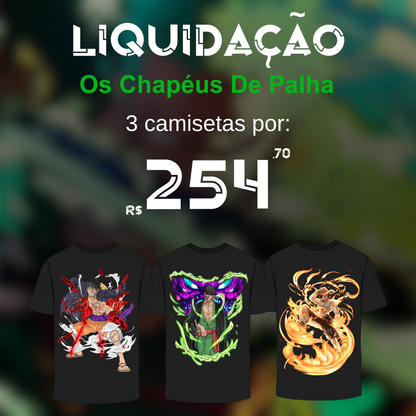 (LIQUIDAÇÃO)  Os Chapéus De Palha - Luffy, Zoro e Ace